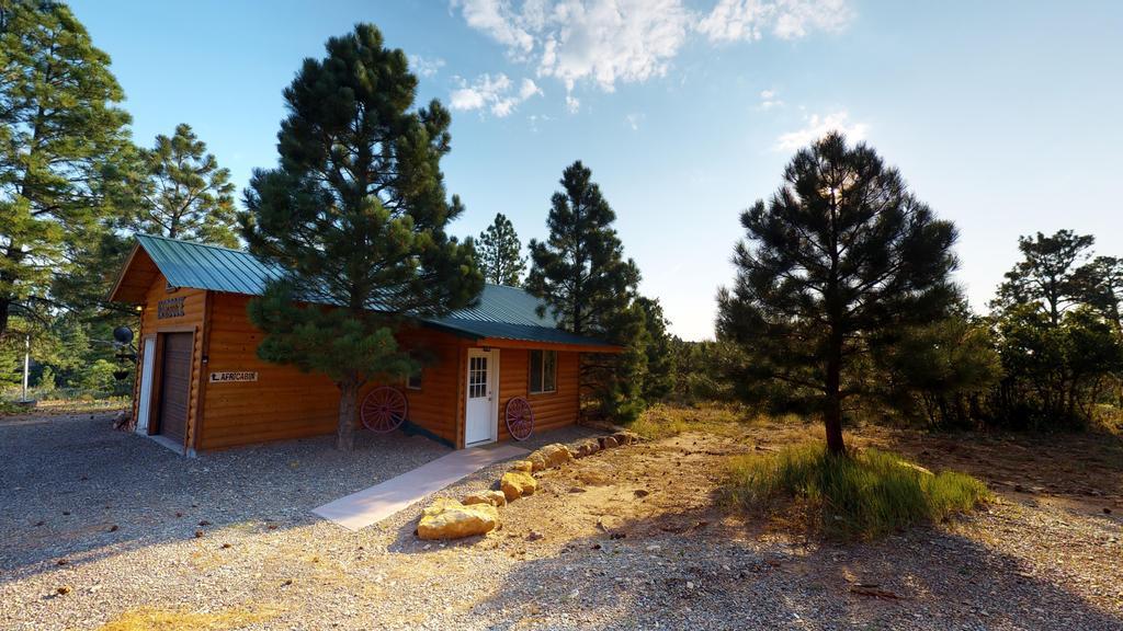 מונטיצ'לו Long View Cabin, Breakfast Deck Overlooking The Canyon! מראה חיצוני תמונה